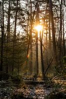 Lever de soleil à Laag Soeren