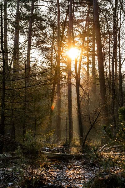 Sunrise in Laag Soeren by Ken Stoffels