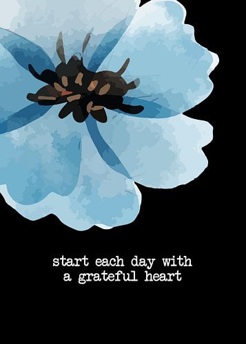 Be Grateful - Motivational Saying & Positive Thinking