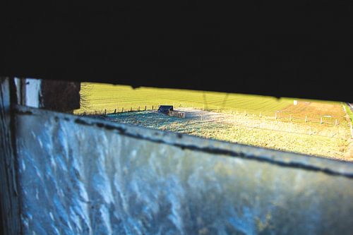 Blick auf das Feld. von Whispering Fields Hageland