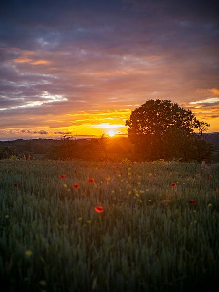 Sunset in the Vosges mountains by Martijn Joosse