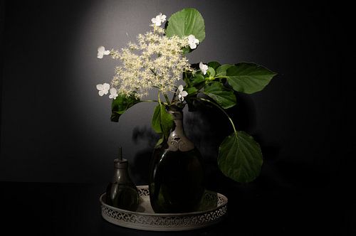 Still life climbing hydrangea in green vase