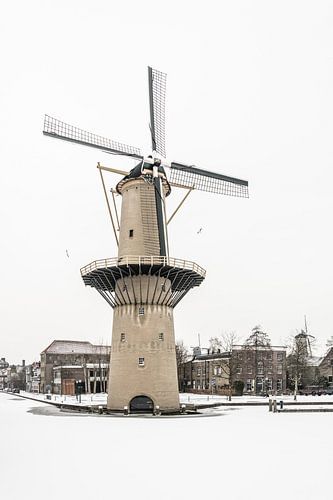 Molen de Kameel in Schiedam