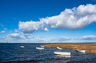 Boote auf der Ostsee in Dänemark von Rico Ködder Miniaturansicht