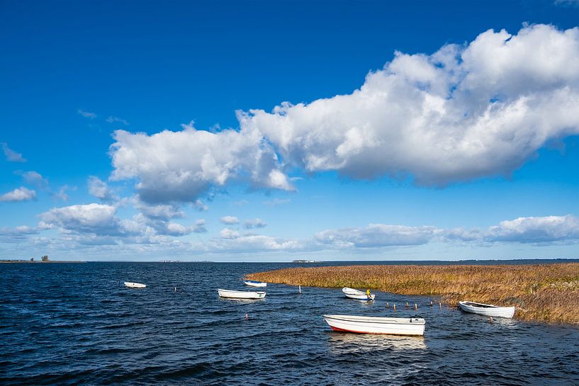 Boote auf der Ostsee in Dänemark von Rico Ködder