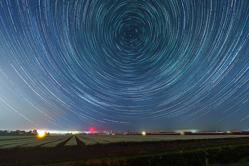 Infinity Fields – Des tulipes sous un ciel étoilé