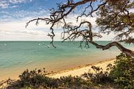 Plage des Sableaux in Île de Noirmoutier van Easycopters thumbnail