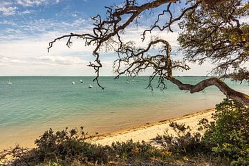 Plage des Sableaux in Île de Noirmoutier van Easycopters