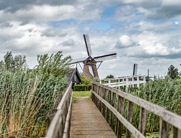 Kinderdijk van Dave Verstappen