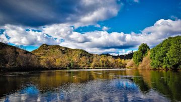 Rivier de Mondego in de bergen van Portugal van Wildlife Designs