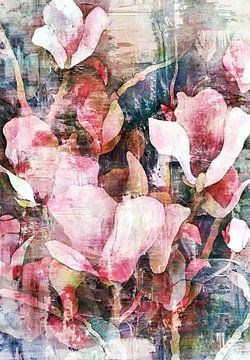 Spring Magnolia by Jacky