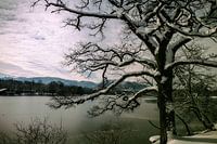 Winter am See