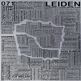 Leiden map by Stef van Campen