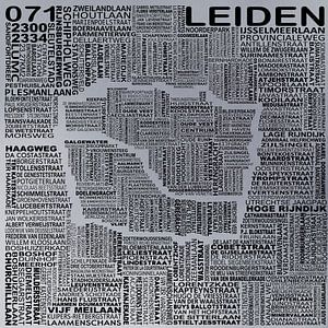 Leiden plattegrond van Stef van Campen