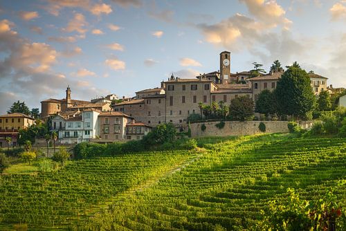 Neive dorp skyline en Langhe wijngaarden, Italië