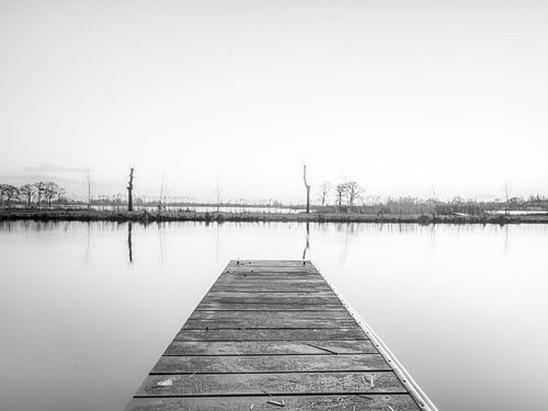 Reeuwijk lake black and white