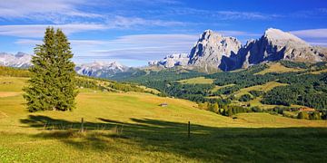 Ein strahlender Herbsttag auf der Seiser Alm von Gisela Scheffbuch