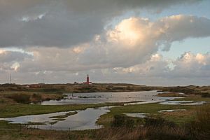 Leuchtturm auf Texel von Antwan Janssen