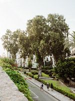 Ibiza | De prachtig groene omgeving van Ibiza Town in Spanje