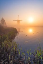 Windmill in the Morning Light by Bas Meelker
