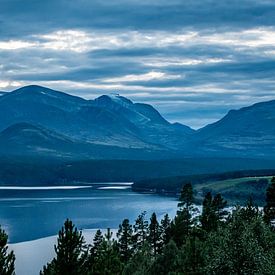 montagnes bleues sur Bart Berendsen