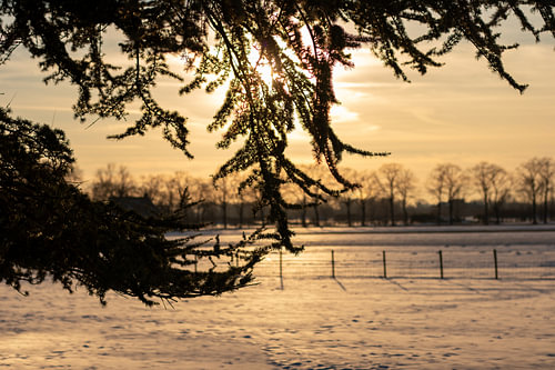 Soleil couchant