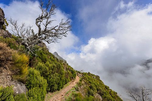 Berglandschaft am Pico Ruivo von Dirk Rüter