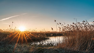 Sonnenuntergang in den Rieselfeldern