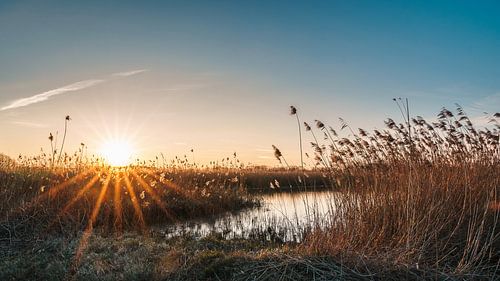 Sunset in the sewage farm