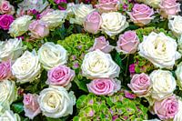 Boeket van witte en roze rozen met groenbloeiende hortensia's