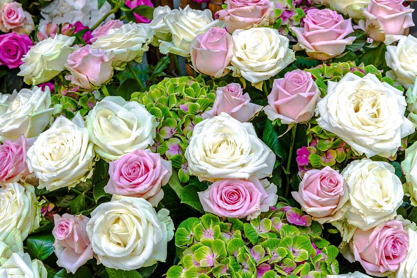 Bouquet of white and pink roses with green-flowering hydrangeas by Dieter Meyer