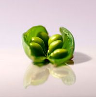* peas in a boat