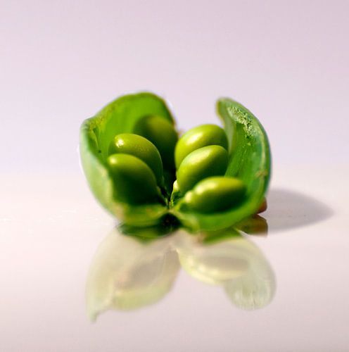 * petits pois dans un bateau