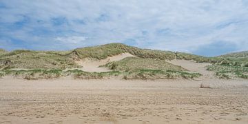 Panorama van de Nederlandse kust : Zand, Strand en duinen van Marjolijn van den Berg