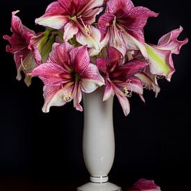 Amaryllis bouquet by Sonja Waschke