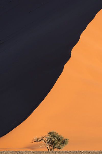 Düne 40 in Namibia (vertikal) von Sven Broeckx