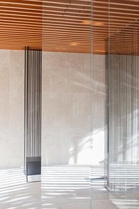 Linien im Licht