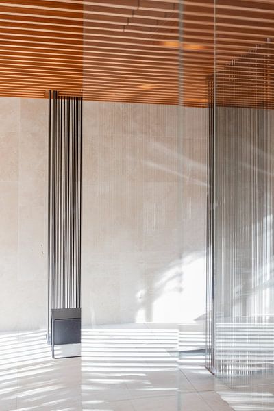 Linien im Licht von Nina Rotim