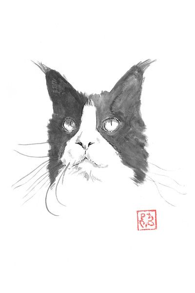 cat face by Péchane Sumie