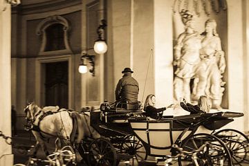Paard en wagen van Tycho Müller