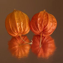 Zusammen sein: Zerbrechlich und verletzlich in warmen Herbstfarben von Marjolijn van den Berg