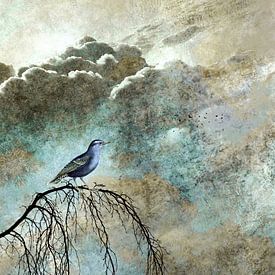  HEAVENLY BIRD IIa restyled by Pia Schneider