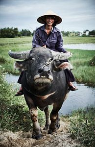 farmer on buffalo in rice field by Karel Ham