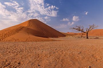 Dune45 - Namibië van Photowski
