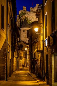 Olite bei Nacht