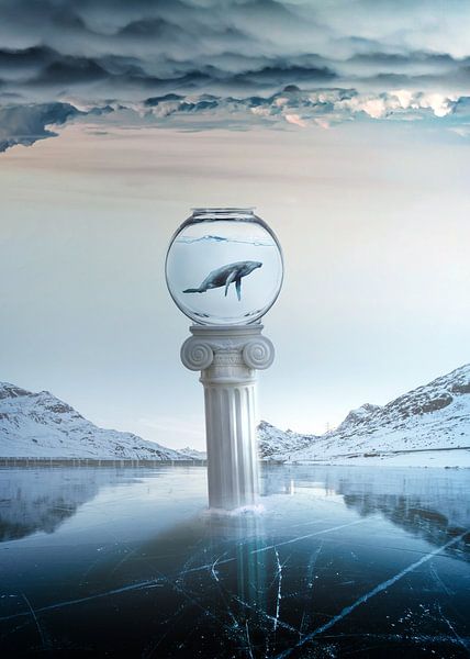 Bevroren dromen par Amadeo Truzzu