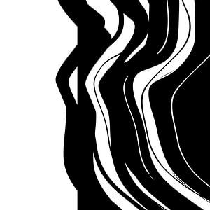 Organisch 5 | Schwarz & Weiß Minimalistisch Abstrakt von Menega Sabidussi
