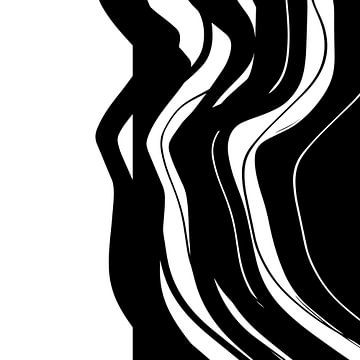 Organisch 5 | Zwart & Wit Minimalistisch Abstract van Menega Sabidussi