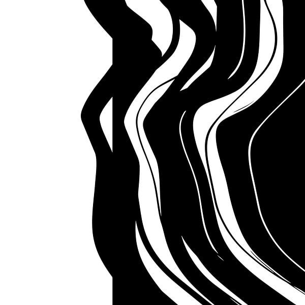 Organic 5 | Black &amp; White Minimalistic Abstract by Menega Sabidussi