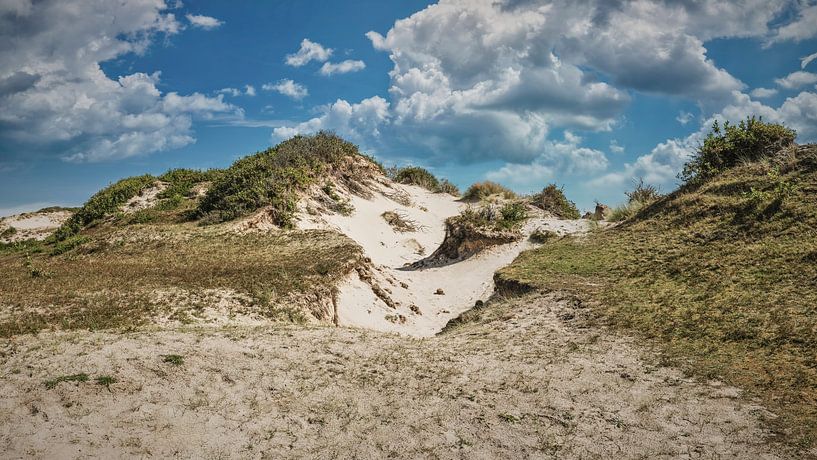 Dune landscape in North Holland Dune Reserve by eric van der eijk